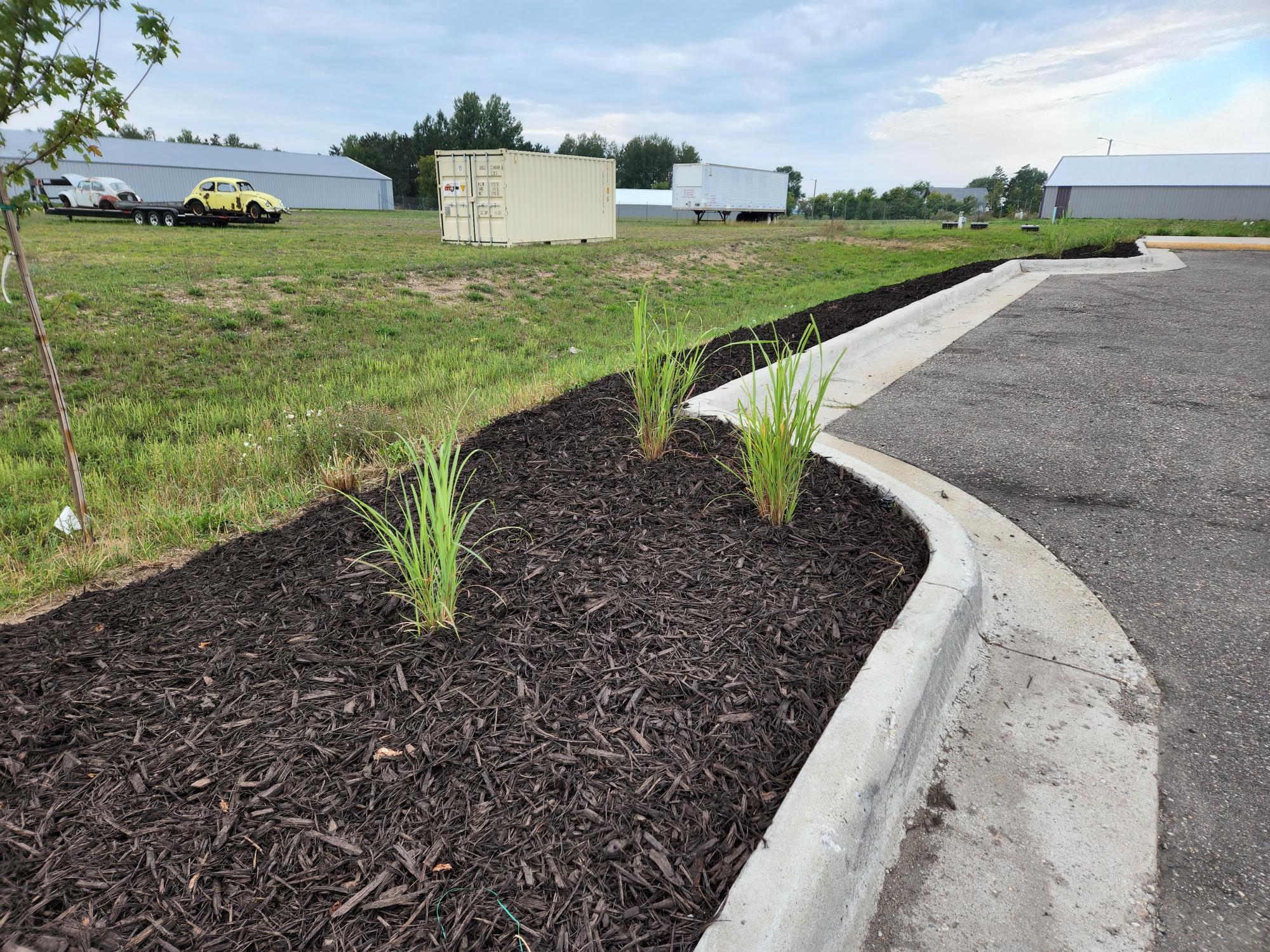 A landscaped parking area with mulch and grass, adjacent to a field with trailers. Vintage cars on trailers in the background.