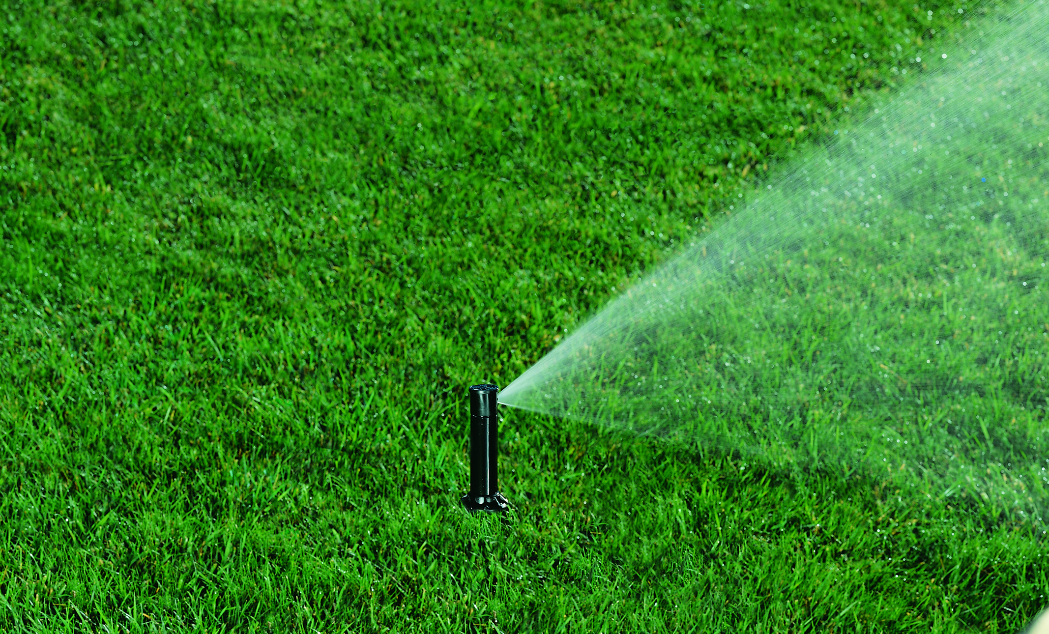 A sprinkler is watering a vibrant green lawn, spraying water in an arc across the grass under bright sunlight.