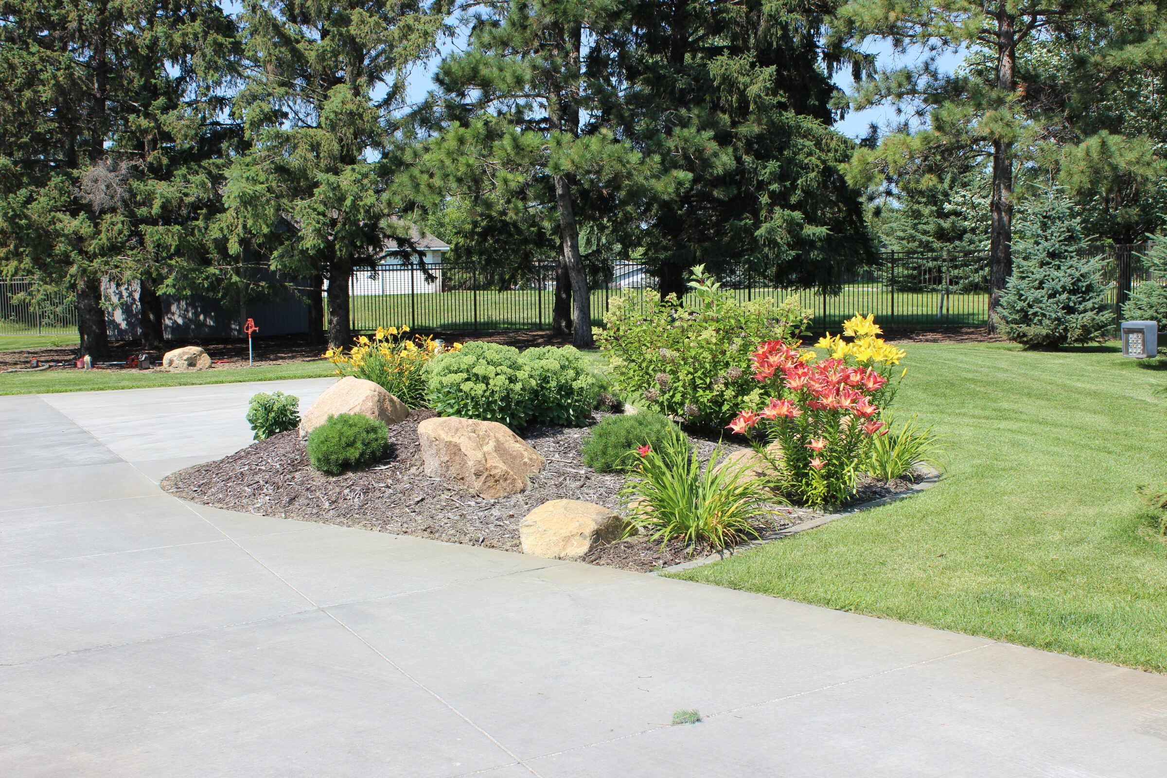 A landscaped garden with colorful flowers and rocks beside a concrete path, surrounded by tall green trees and a black metal fence.