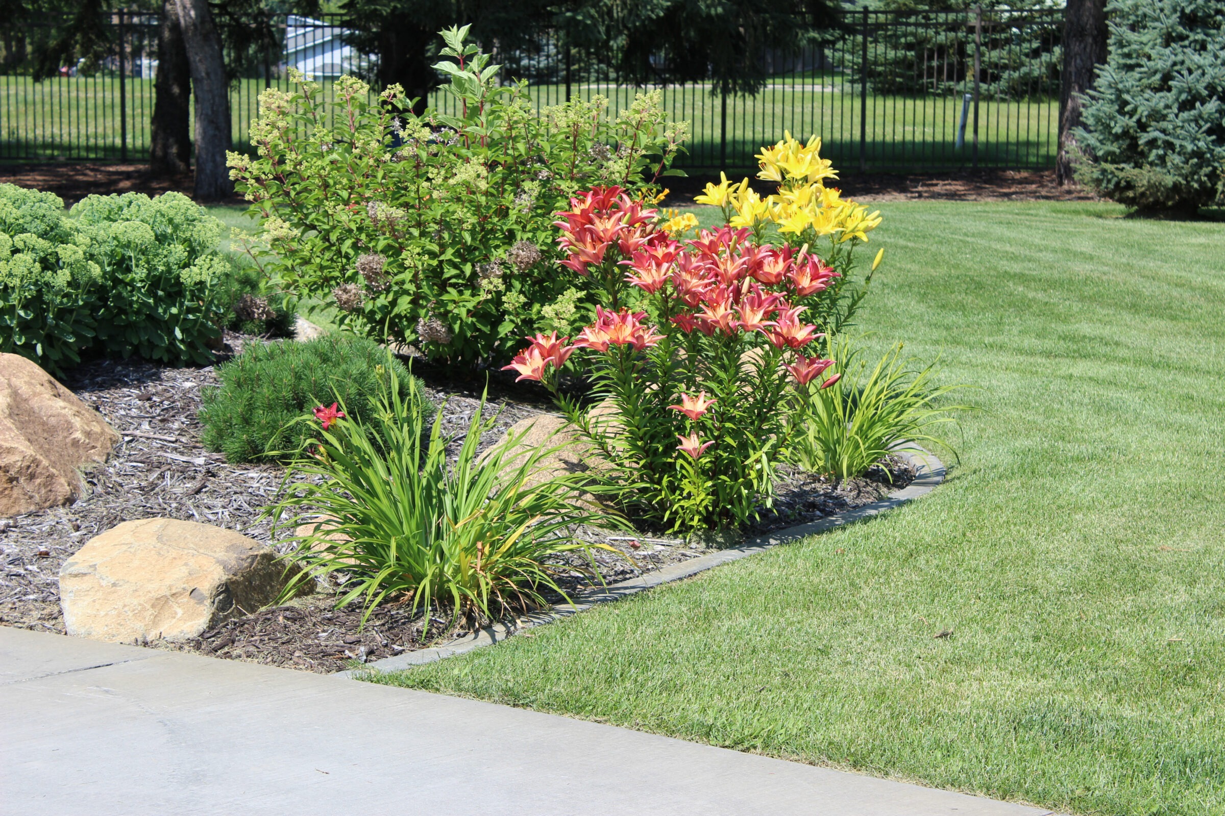 A well-maintained garden features blooming red and yellow flowers, surrounded by lush greenery and a neatly trimmed lawn under sunny skies.