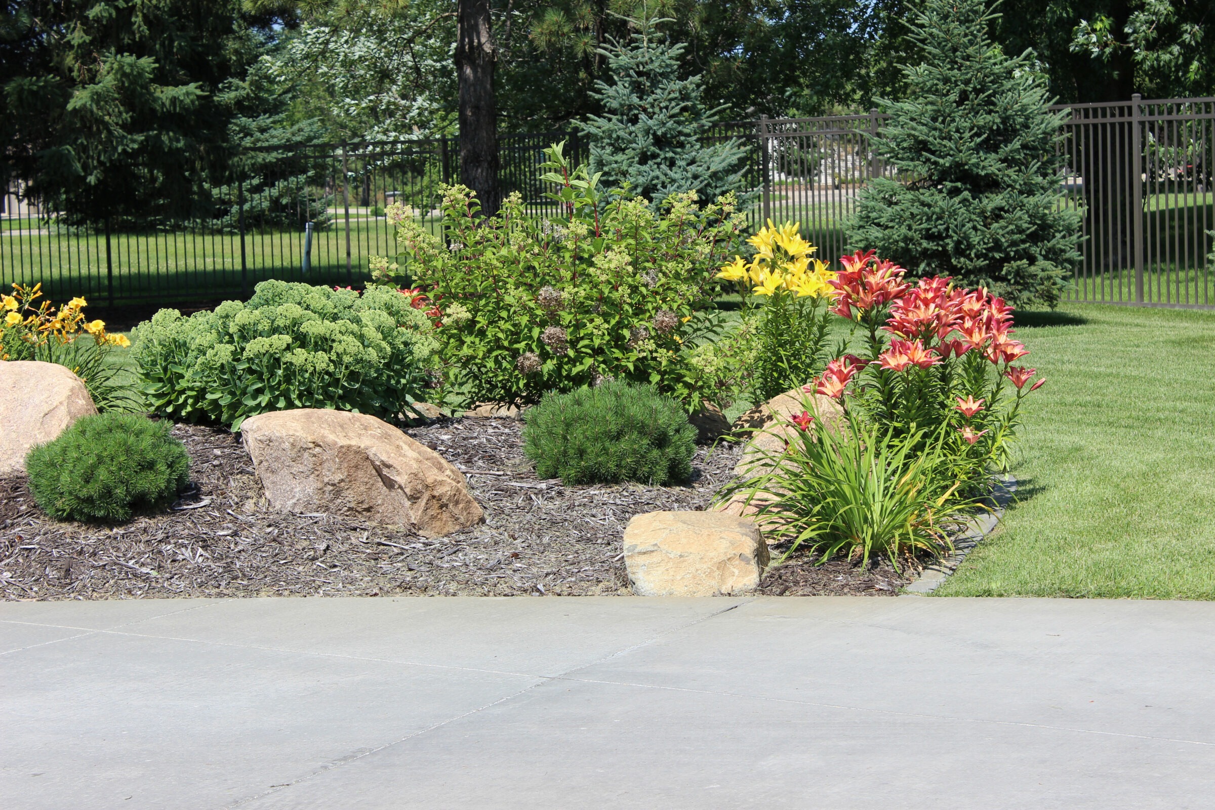 A landscaped garden with colorful flowers, rocks, evergreen trees, and grass, bordered by a metal fence in a sunny outdoor setting.