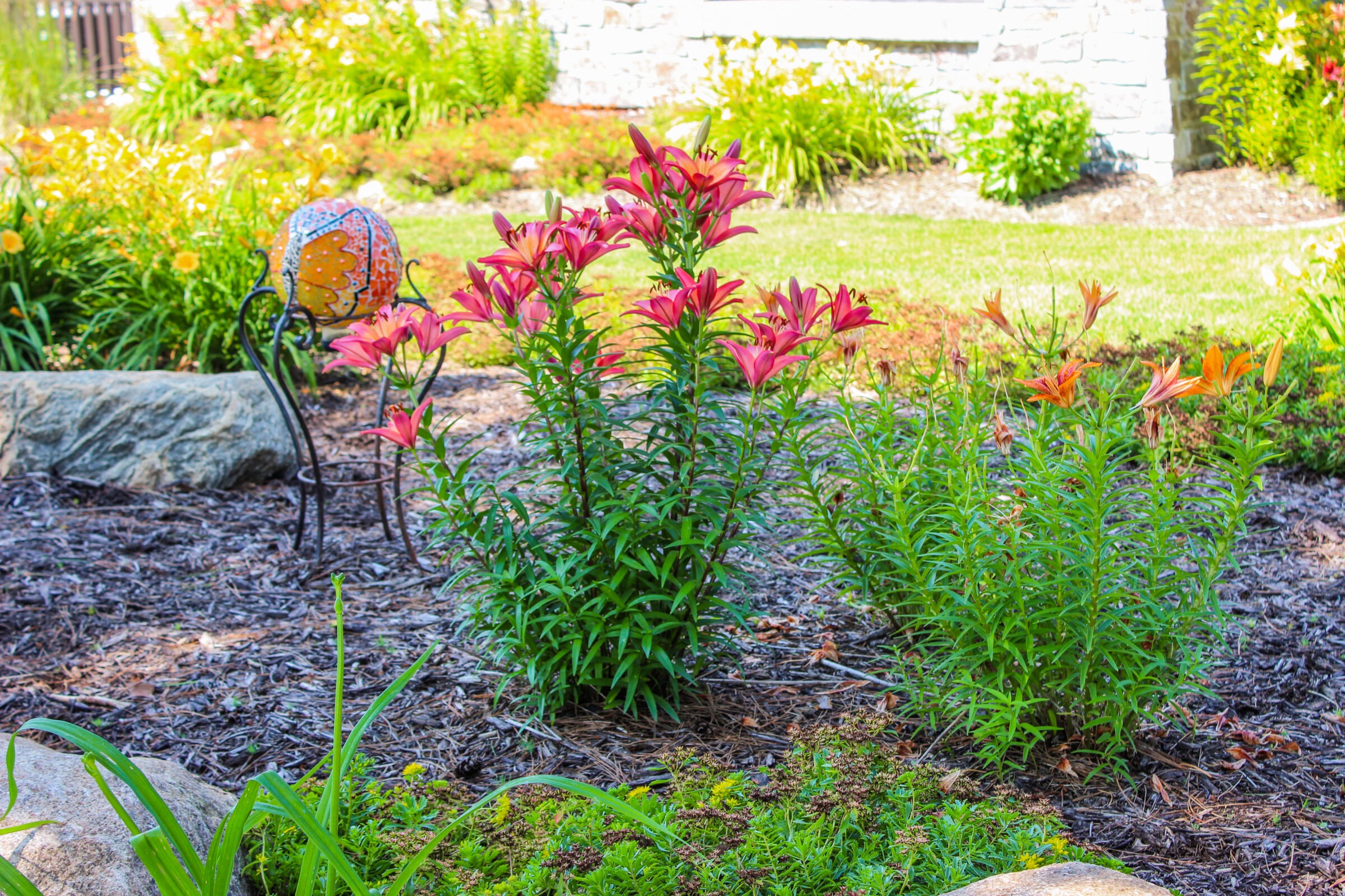 A colorful garden features blooming lilies, decorative glass orb, rocks, and lush greenery, creating a vibrant and serene outdoor scene.