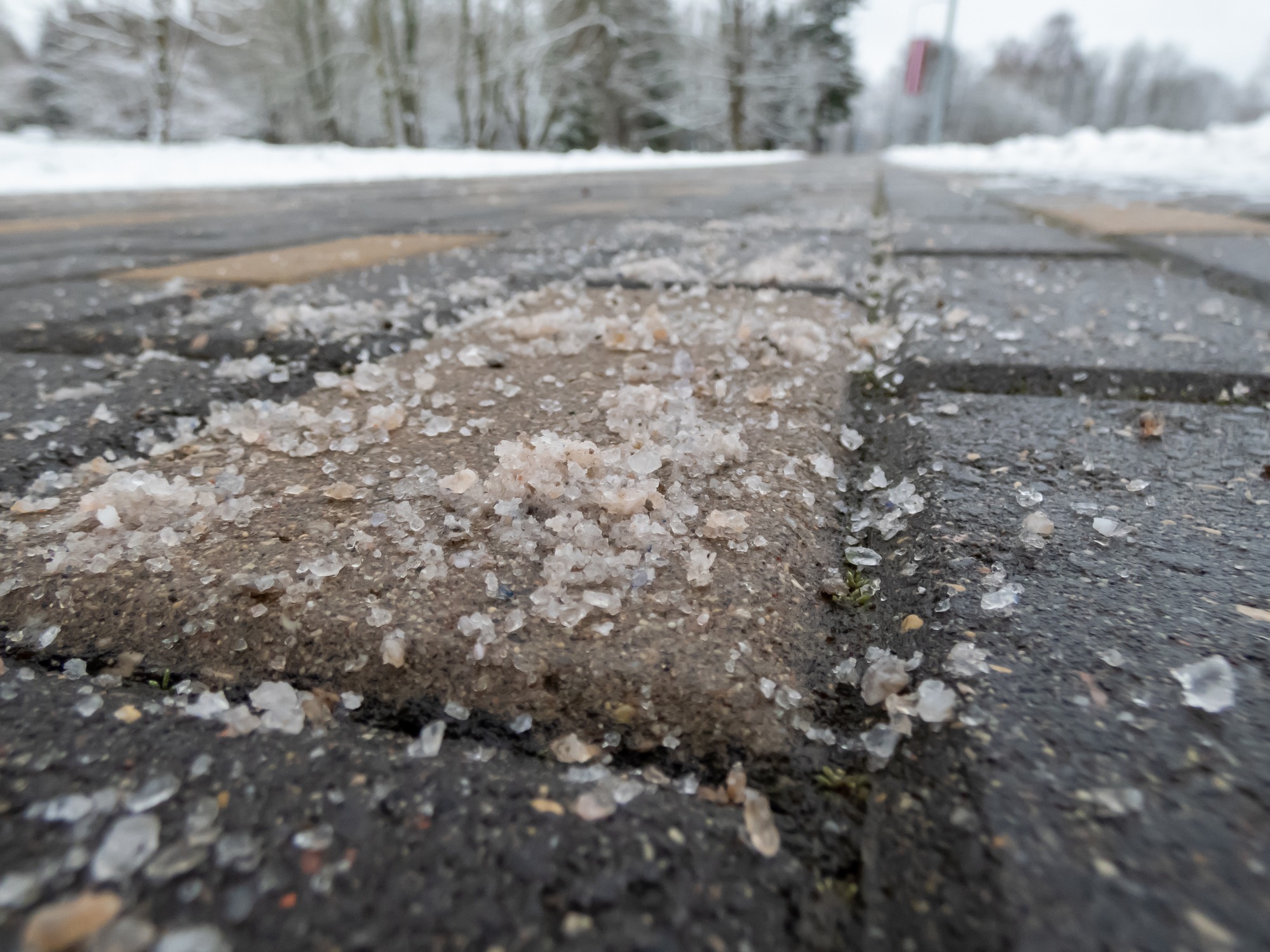 Close-up of a salted pavement, surrounded by snowy trees. Crystals are scattered, contrasting with the tiles. Cold, wintry atmosphere. No people visible.