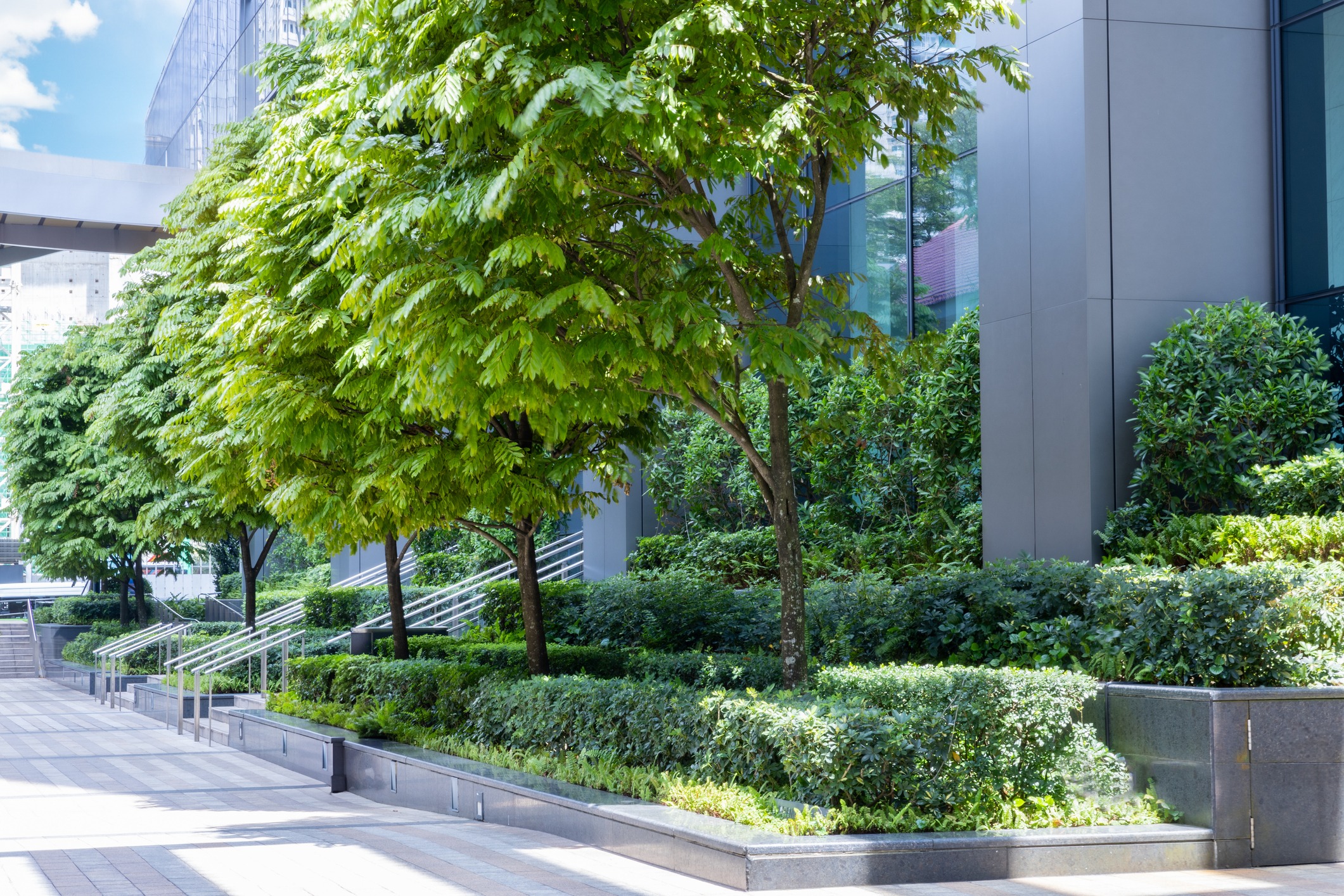 Modern urban landscape featuring lush trees and greenery alongside a sleek building, with pathways and railings guiding through the peaceful setting.