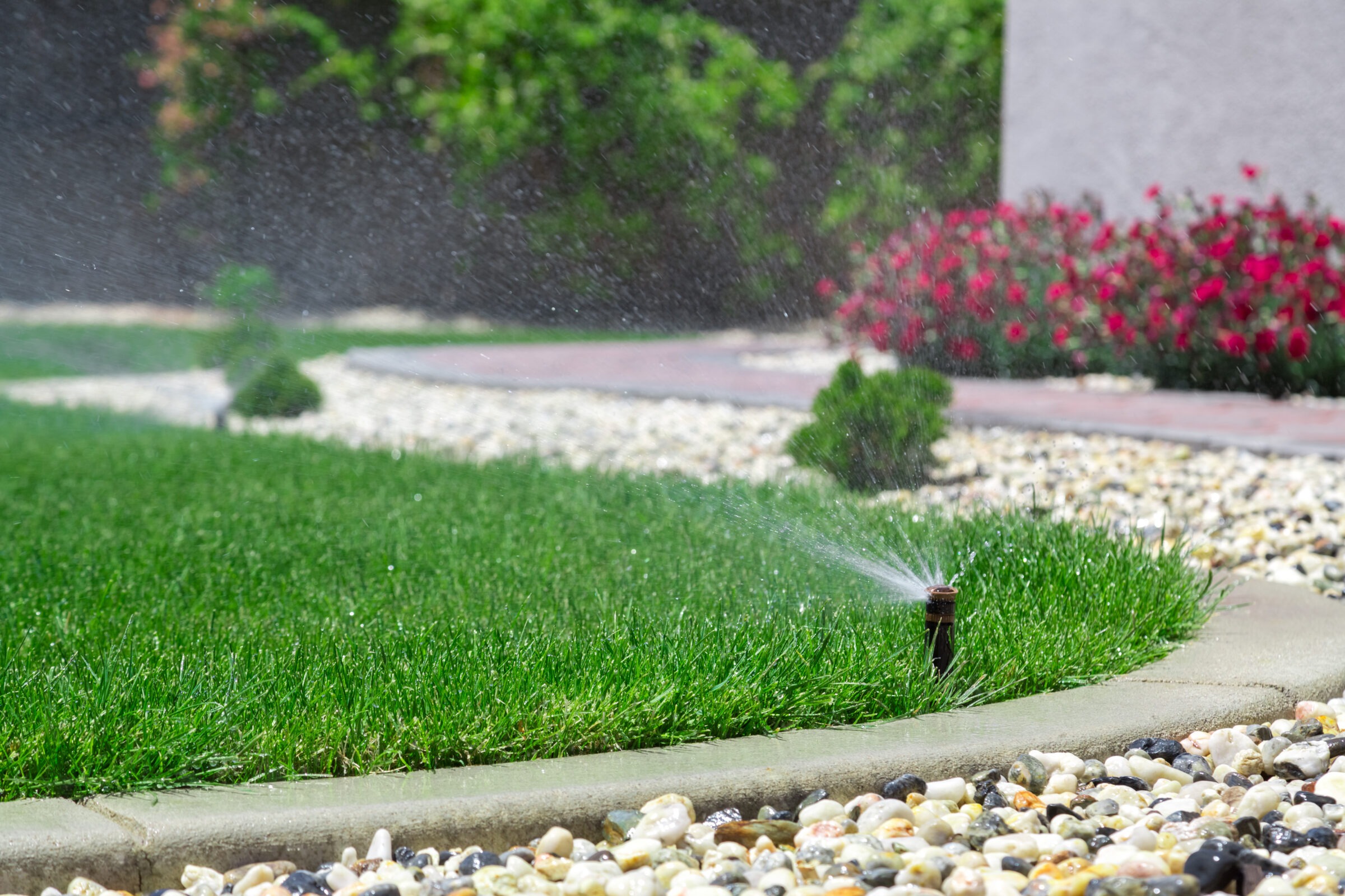 Irrigation sprinkler spraying water across a green lawn on a sunny day, providing even coverage for healthy grass.